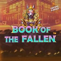 Book of the Fallen game screenshot
